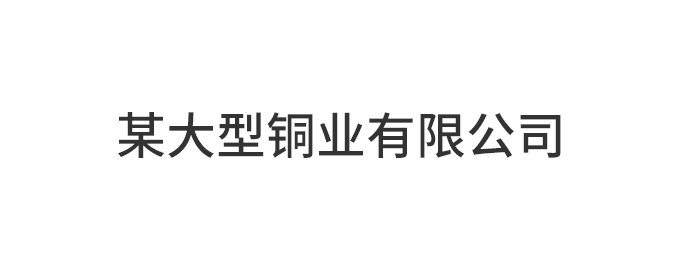 某大型铜业有限公司