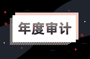 公司年度审计