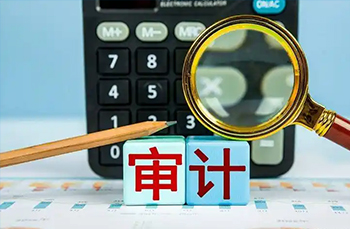 公司内/外部审计和审查、法定审计