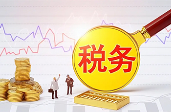 税务审查协助